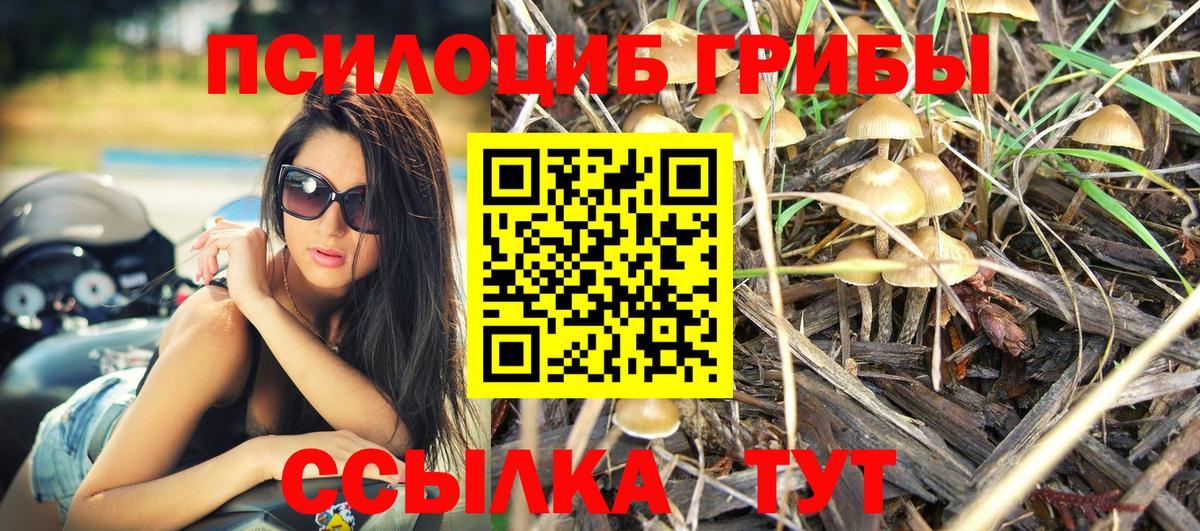 Псилоцибиновые грибы Psilocybe  Псилоцибиновые грибы Psilocybe  Вход с VPN  Саров 
